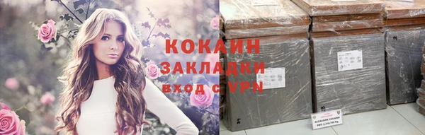 сатива Няндома