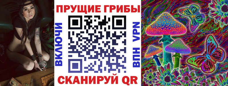 купить закладку  Отрадный  darknet наркотические препараты  Галлюциногенные грибы MAGIC MUSHROOMS 