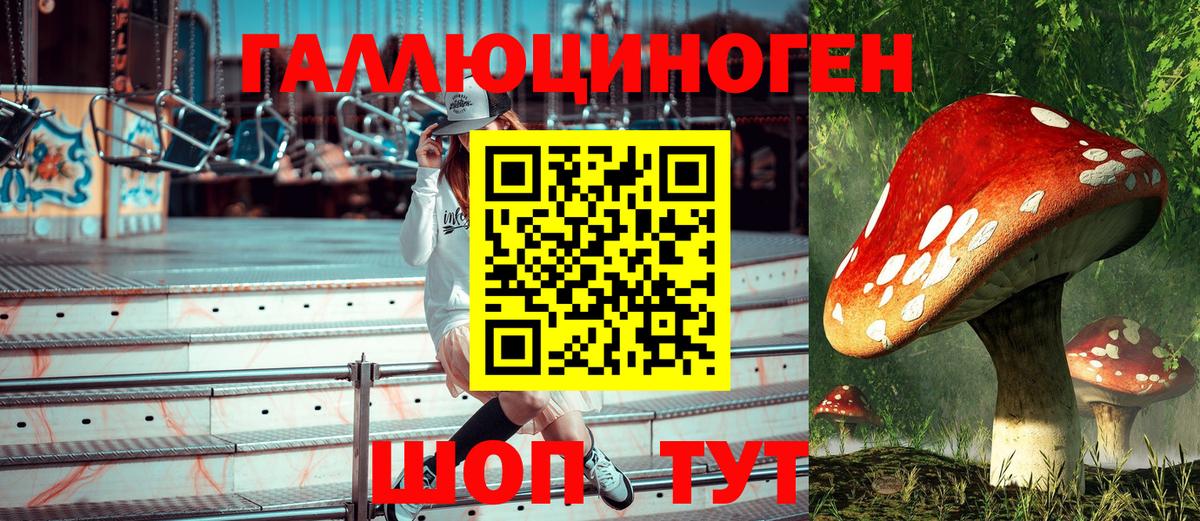 Отрадный  Галлюциногенные грибы прущие грибы  Псилоцибиновые грибы Psilocybe  Вход с VPN 